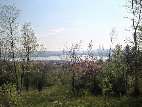 Panoramic residential zoning 