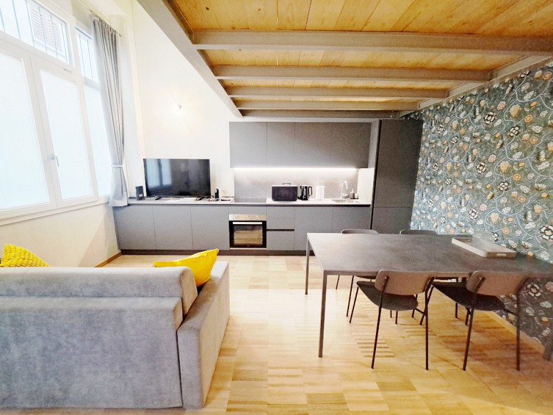 Newly-realized loft in Pestalozzi