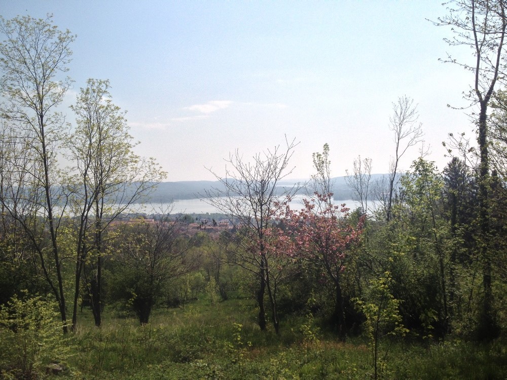 PPC private property consultants: Panoramic residential zoning 