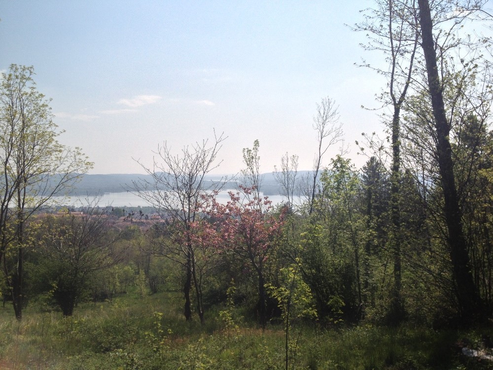 PPC private property consultants: Panoramic residential zoning 