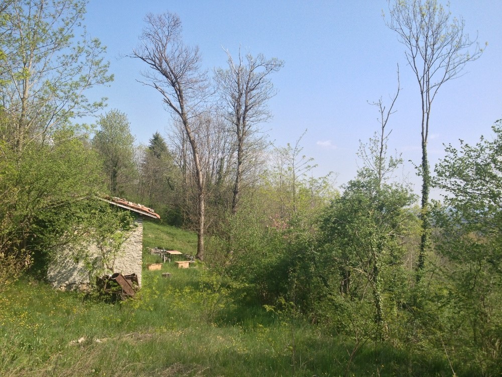 PPC private property consultants: Panoramic residential zoning 