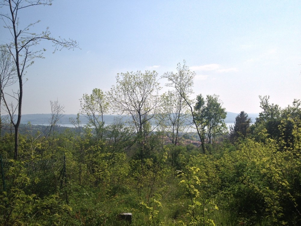 PPC private property consultants: Panoramic residential zoning 