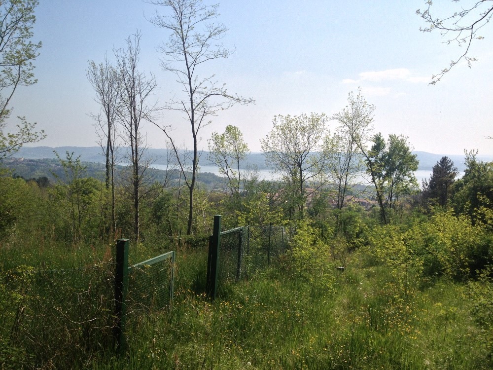 PPC private property consultants: Terreno edificabile con vista panoramica 